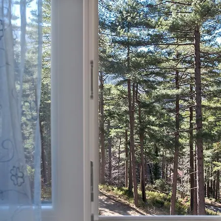 Casa Alta Bed & Breakfast Vizzavona