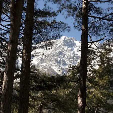 Oda ve Kahvaltı Casa Alta Vizzavona