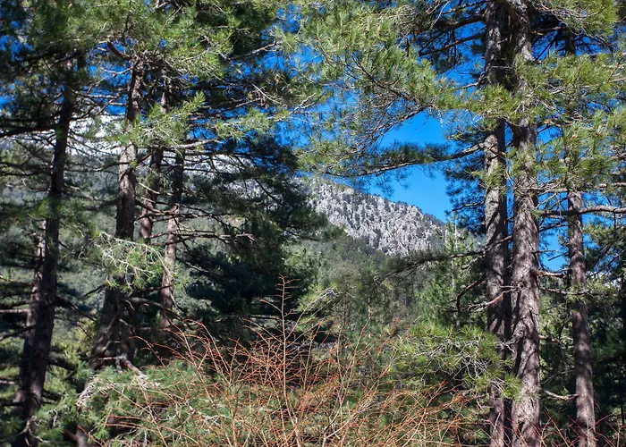 Bed & Breakfast Casa Alta Vizzavona