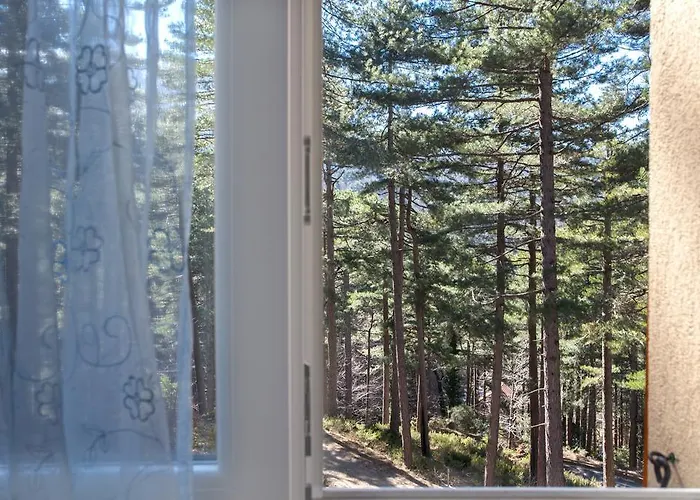 Casa Alta Bed & Breakfast Vizzavona