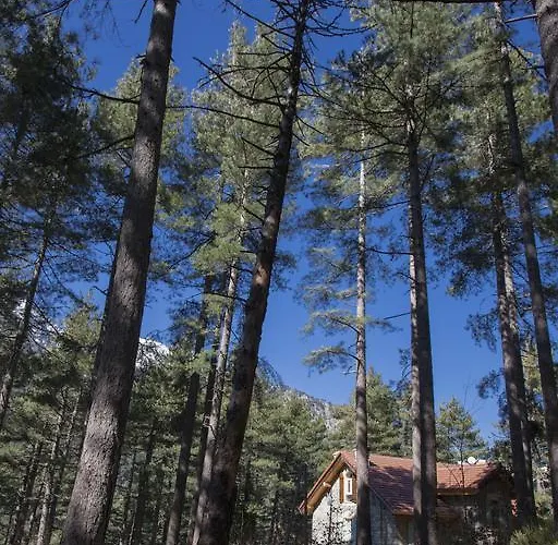 Casa Alta Bed & Breakfast